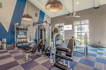 A gym with a variety of equipment
